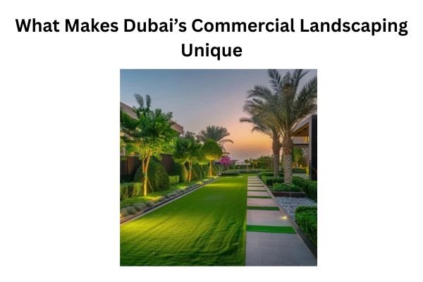 What Makes Dubai’s Commercial Landscaping Unique